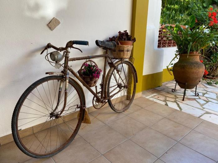 Casinha Da Avo Rosario Apartment Juncal  Екстериор снимка