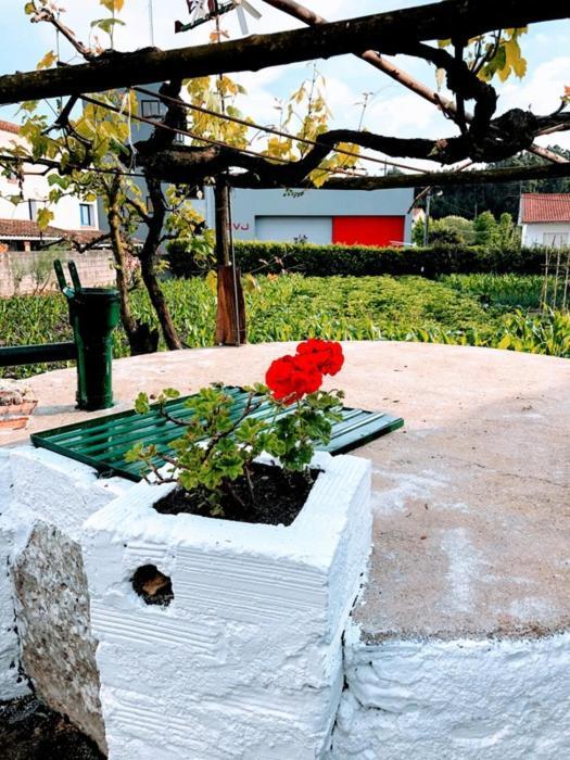 Casinha Da Avo Rosario Apartment Juncal  Екстериор снимка